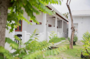 Velidhoo Inn